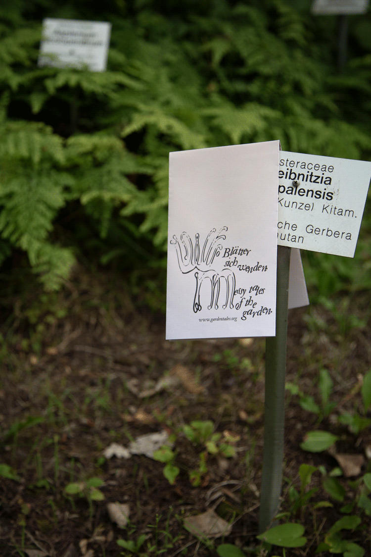 Planttag in the botanical garden with an alternative plant tag on top of it