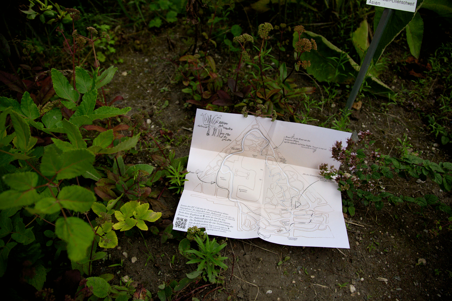 Alternative Map of the botanical garden laying in between plants on the floor